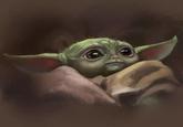 If Baby Baby Yoda Isnt Your Wallpaper Do You Really Have A