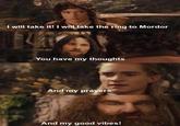 I will take it! I will take the ring to Mordor You have my thoughts And my prayers And my good vibes!