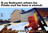 5 yo Kakyoin when he finds out he has a stand: Could I be thegreen ninja?