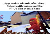 Apprentice wizards after they Defeat rattlebones and the NPC's call them a hero Could Ibe the green ninia?