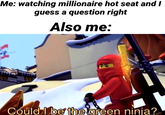 Me: watching millionaire hot seat and I guess a question right Also me: Could I be thetgreen ninia?
