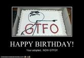 STFO HAPPY BIRTHDAY! Your adopted... NOw GTFO! HNHRSCHEEZEURGER.COM