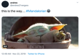 andres @andres21vergara this is the way.... #Mandalorian GIF 12:49 AM Nov 22, 2019 Twitter for iPhone