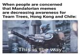 When people are concerned that Mandalorian memes are decreasing awareness for Team Trees, Hong Kong and Chile: This is the way