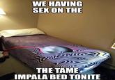 WE HAVING SEX ON THE THE TAME IMPALA BED TONITE