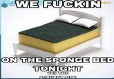 WE F----- ON THE SPONGE BED TONIGHT YES THE SCRUBBY SIDE