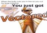 When the bully cuts you in line so you his large intestine cut You just got Vectored