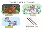THINGS THAT DON'T EXIST: FAIRIES BIGFOOT Your pencils when someone borrows them UNICORNS