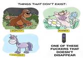 THINGS THAT DON'T EXIST: FAIRIES BIGFOOT ONE OF THESE F------ THAT DOESN'T UNICORNS DISAPPEAR