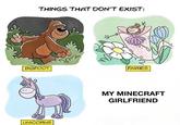THINGS THAT DON'T EXIST: BIGFOOT FAIRIES MY MINECRAFT GIRLFRIEND UNICORNS