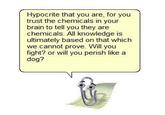 Hypocrite that you are, for you trust the chemicals in your brain to tell you they are chemicals. All knowledge is ultimately based on that which we cannot prove. Will you fight? or will you perish like a dog?