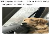 Puppie Eilish: Il'm a bad boy 14 years old dogs: