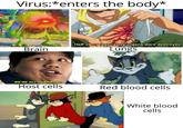 Virus:*enters the body* Half of my respiratory organs were destroyed. Brain Lungs WE'RE ALL GONNA DIE! Host cells Red blood cells White blood cells