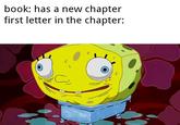 book: has a new chapter first letter in the chapter: