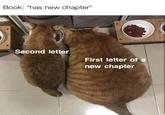 Book: *has new chapter* Second letter First letter of a new chapter