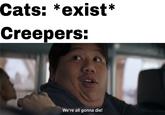 Cats: *exist* Creepers: We're all gonna die!