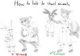 How to talk to short animals r Correct x Wrong