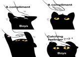A compliment A compliment Boys Catching feelings* PAP * Boys