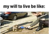 my will to live be like: Onfin ok so basically im very smol