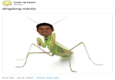 trash ng bayan @y0gi_ dingdong mantis 8:24 AM · Jan 6, 2020 · Twitter Web App