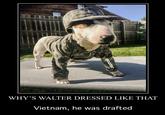 WHY’S WALTER DRESSED LIKE THAT Vietnam, he was drafted qooter