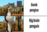 Dumb pengiun Big brain penguin