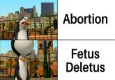 Abortion Fetus Deletus