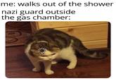 me: walks out of the shower nazi guard outside the gas chamber: