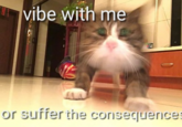 vibe with me vibe with me or suffer the consequenices