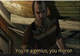 You're a genius, you moron
