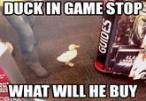 DUCK IN GAME STOP ALA EVE TR WHAT WILL HE BUY REC D RE GUIDES
