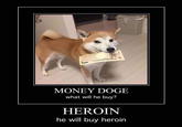 NEPPON GENTO booor MONEY DOGE what will he buy? HEROIN he will buy heroin