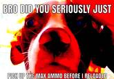 BRO DIDYOU SERIOUSLY JUST PICK UP THE MAX AMMO BEFORE I RELOADED