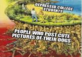 DEPRESSED COLLEGE STUDENTS PEOPLE WHO POST CUTE PICTURES OF THEIR DOGS