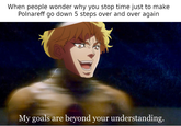 When people wonder why you stop time just to make Polnareff go down 5 steps over and over again My goals are beyond your understanding.