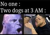No one : Two dogs at 3 AM :