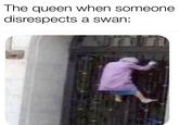 The queen when someone disrespects a swan: