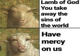 Lamb of God You take away the sins of the world Have mercy on us