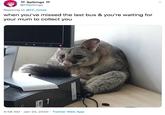 Spikings @HSpikings Replying to @FF_notes when you've missed the last bus & you're waiting for your mum to collect you 4:58 AM · Jan 20, 2020 · Twitter Web App