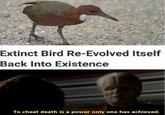 Extinct Bird Re-Evolved Itself Back Into Existence To cheat death is a power only one has achieved.