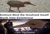 Extinct Bird Re-Evolved Itself Back Into Existence I am inevitable.