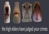 the high elders have judged your crimes