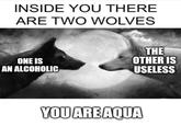 INSIDE YOU THERE ARE TWO WOLVES THE OTHER IS USELESS ONE IS AN ALCOHOLIC YOU ARE AQUA