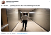 Morton Downey III @cushbomb 2:12 am... going back for more dog murder 4:29 PM · Jan 25, 2020 · Twitter for iPhone