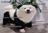 You were bamboozled by him | /r/wholesomememes u thought was panda but am doggo heckin bamboozled get it, bamboo? heheheheheh k bye
