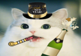 * Hoppy ´NÉW YEAR!