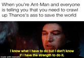 When you're Ant-Man and everyone is telling you that you need to crawl up Thanos's ass to save the world I know what I have to do but I don't know if I have the strength to do it. made with mematic