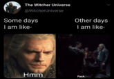 The Witcher Universe @WitcherUniverse Other days I am like- Some days I am like- Hmm F---.