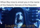 When Rey tries to arrest you in the name of the Galactic Senate of the Republic [Laughs sith Lord