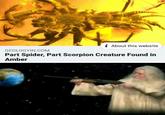 "Link to the article":http://www.geologyin.com/2018/02/part-spider-part-scorpion-creature.html